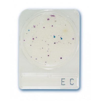 Compact Dry EC - Placi Petri ready-to-use pentru Detectia E.coli si Coliformi